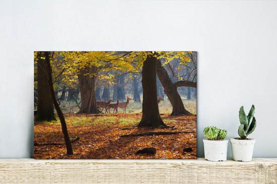 Cerf dans une forêt au Danemark toile 2cm 30x20 cm - petit - Tirage photo sur toile (Décoration murale salon / chambre)