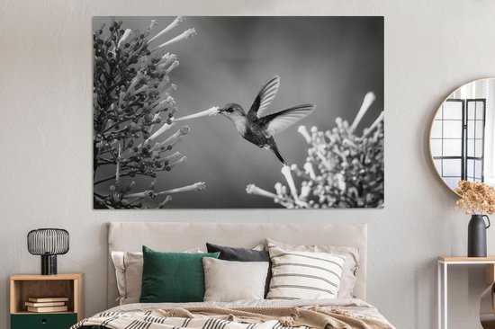 Nymphe des bois couronnée violette dans le parc national du Costa Rica en toile noir et blanc 2cm 150x100 cm - Tirage photo sur toile (Décoration murale salon / chambre) / Animaux sauvages Peintures sur toile