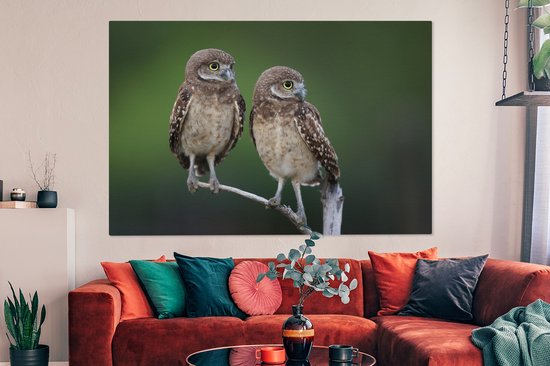Tableau sur toile Deux hiboux des cavernes sur une branche - 150x100 cm - Décoration murale