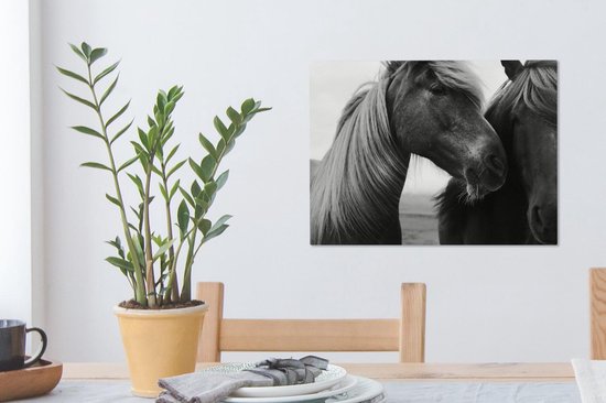 Gros plan de deux chevaux (noir et blanc) sur toile 2cm 40x30 cm - petit - Tirage photo sur toile (Décoration murale salon / chambre) / Animaux sauvages Peintures sur toile