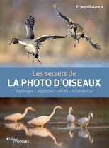 Secrets de photographes - Les secrets de la photo d'oiseaux