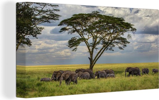 Canvas Schilderij Olifantenfamilie onder een boom in het Nationaal park Serengeti - 80x40 cm - Wanddecoratie
