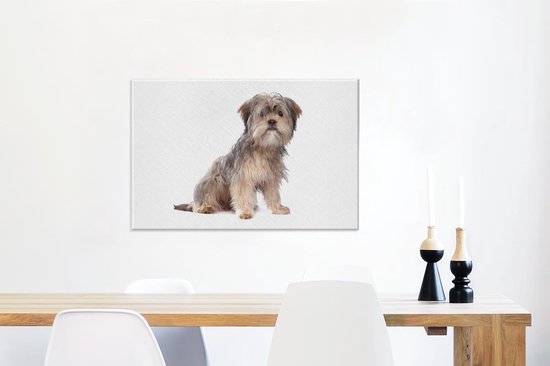 Chien Shih Tzu sur fond blanc Toile 90x60 cm - Tirage photo sur toile (Décoration murale salon / chambre) / Animaux domestiques Peintures sur toile