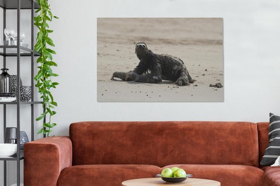 Paresseux sur la plage dans le parc national de Manu au Pérou Toile 120x80 cm - Tirage photo sur toile (Décoration murale salon / chambre)