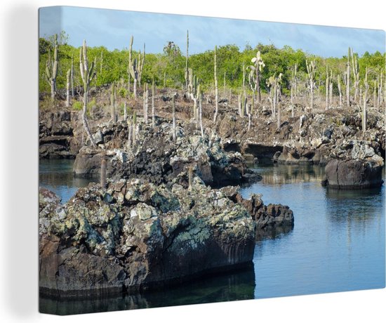Rotsen en cactussen landschap in de Galapagos eilanden Canvas 140x90 cm - Foto print op Canvas schilderij (Wanddecoratie woonkamer / slaapkamer) / Zee en Strand Rotsen en cactussen landschap in de Galapagos eilanden Canvas 140x90 cm - Foto print op Canvas schilderij (Wanddecoratie woonkamer / slaapkamer) / Zee en Strand