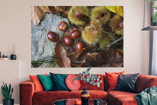 Canvas schilderij 150x100 cm - Wanddecoratie Zoete tamme kastanjes liggend op de herfstgrond - Muurdecoratie woonkamer - Slaapkamer decoratie - Kamer accessoires - Schilderijen