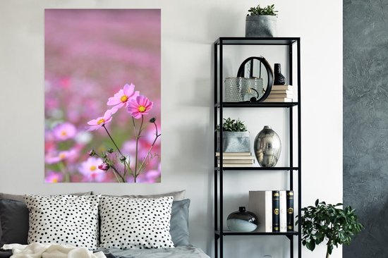 Affiche Fleur Cosmos 75x150 cm - Tirage photo sur Poster (décoration murale salon / chambre) / Poster Fleurs