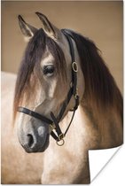 Portret van een Andalusisch paard poster papier 40x60 cm - Foto print op Poster (wanddecoratie woonkamer / slaapkamer) / Wilde dieren Poster