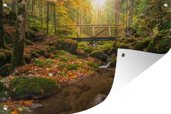 La Forêt Noire en Allemagne à l'automne Affiche de jardin 180x120 cm - Toile de jardin / Toile d'extérieur / Peintures d'extérieur (décoration de jardin) XXL / Groot format!