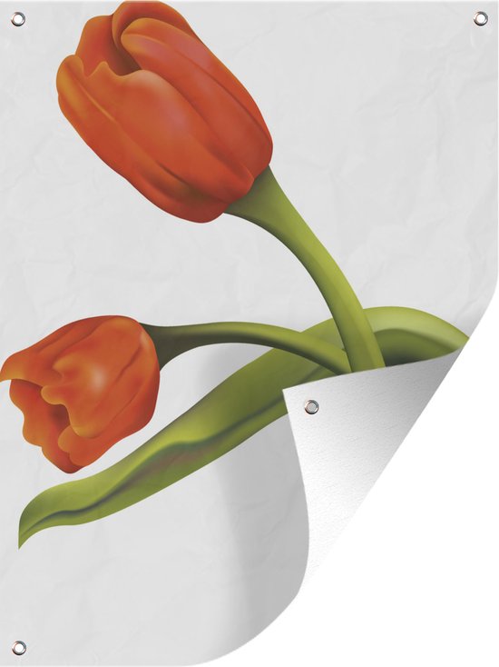 Une illustration de deux tulipes orange affiche de jardin 30x40 cm - petit - Toile de jardin / Toile d'extérieur / Peintures d'extérieur (décoration de jardin)