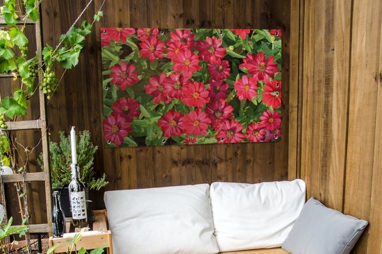 Affiche de jardin fleurs de zinnia rouge vif 120x80 cm - Toile de jardin / Toile d'extérieur / Peintures pour l'extérieur (décoration de jardin)