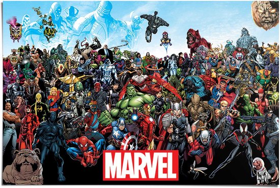 Foto: Reinders poster marvel universe 61x91 5cm papier