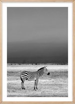 Poster Met Eiken Lijst - Wilde Zebra Poster
