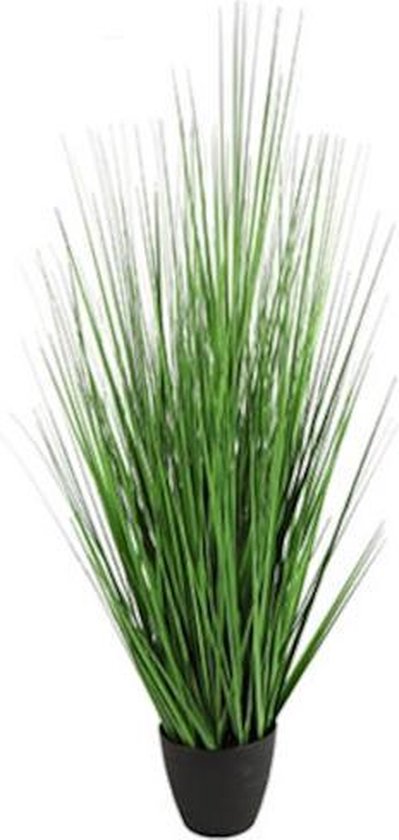 Countryfield Plante Artificielle Poaceae 75 Cm Polystone Vert