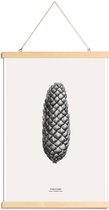 JUNIQE - Posterhanger Pine Cone III -30x45 /Grijs & Ivoor