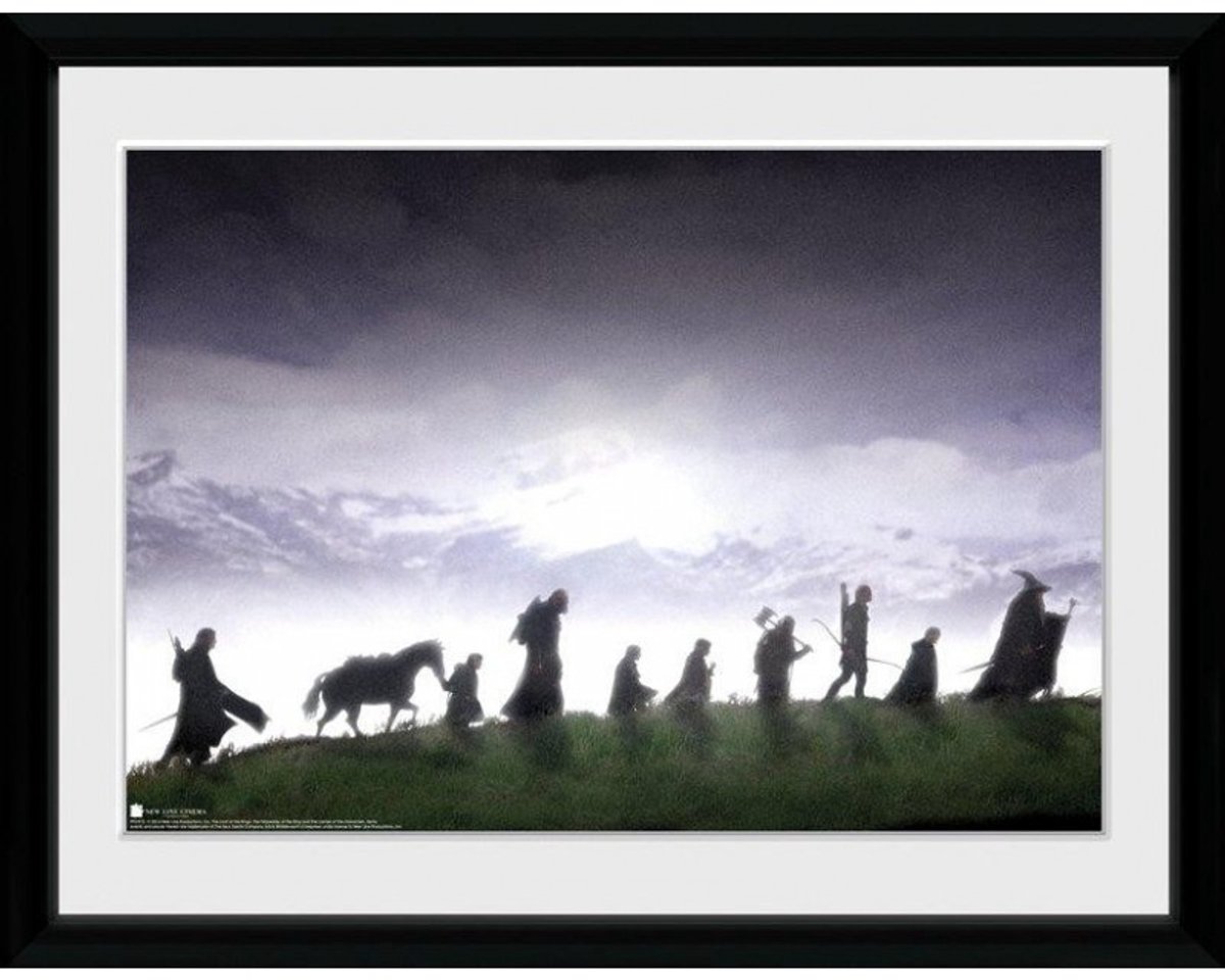 Gb Eye Poster In Lijst Lord Of The Rings Fellowship 30 X 40 Cm