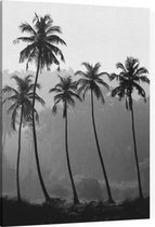 4 Palmbomen zwart wit - Foto op Canvas - 75 x 100 cm