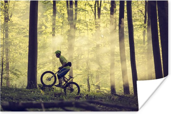 Affiche VTT à travers les forêts du Danemark 120x80 cm - Tirage photo sur Poster (décoration murale salon / chambre) / Affiche de sport