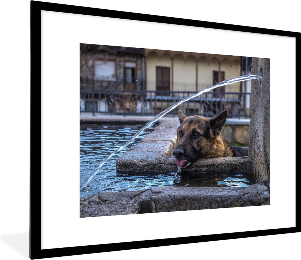 Poster in lijst - Fotolijst 80x60 cm - Posters - Duitse herder - Hond - Fontein - Drinken