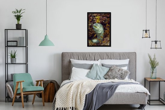 Fotolijst incl. Poster - Vis - Koraal - Oceaan - 40x60 cm - Posterlijst
