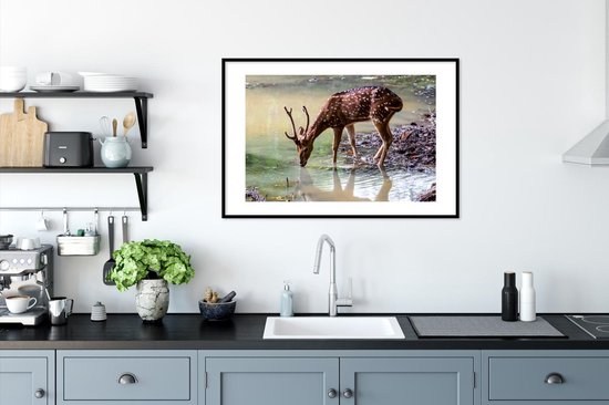 Photo dans le cadre - Boire le cerf d'un ruisseau de forêt cadre photo noir avec passe-partout blanc 60x90 90x60 cm - Affiche dans le cadre (Décoration murale salon / chambre)