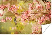 Kolibrie op een tak van een boom met de lente roze bloesems Poster 180x120 cm - Foto print op Poster (wanddecoratie woonkamer / slaapkamer) / Vogels Poster XXL / Groot formaat!