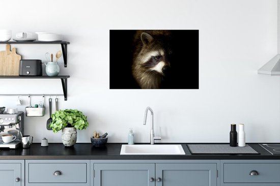 Poster Raton laveur sur fond noir papier 90x60 cm - Tirage photo sur Poster (décoration murale salon / chambre) / Poster Animaux sauvages