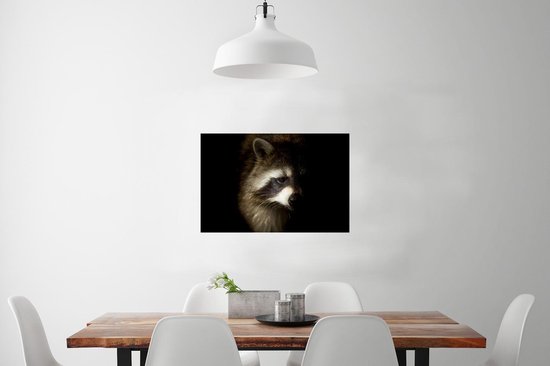 Poster Raton laveur sur fond noir papier 90x60 cm - Tirage photo sur Poster (décoration murale salon / chambre) / Poster Animaux sauvages