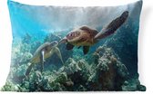Buitenkussens - Tuin - Twee zeeschildpadden - 50x30 cm