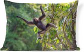 Sierkussen Jungle Residents pour intérieur - Singe sautant dans la jungle - 60x40 cm - coussin intérieur rectangulaire en coton