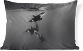 Sierkussens - Kussen - Zwemmende orka's - zwart-wit - 60x40 cm - Kussen van katoen