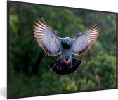 Photo encadrée - Un pigeon volant parmi les arbres verts cadre photo noir 30x20 cm - Affiche encadrée (Décoration murale salon / chambre)