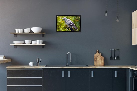 Photo encadrée - Un pigeon sauvage coloré parmi les feuilles vertes cadre photo noir 30x20 cm - Affiche encadrée (Décoration murale salon / chambre)