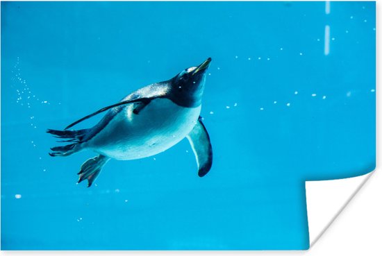 Pingouin nageur 30x20 cm - petit