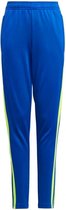 adidas - Squadra 21 Training Pants Youth - Trainingsbroek Kinderen - 116 - Blauw
