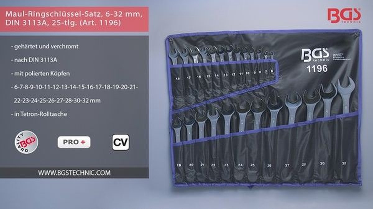 CONNEX SET RINGSLEUTELS 8dlg 6-22mm