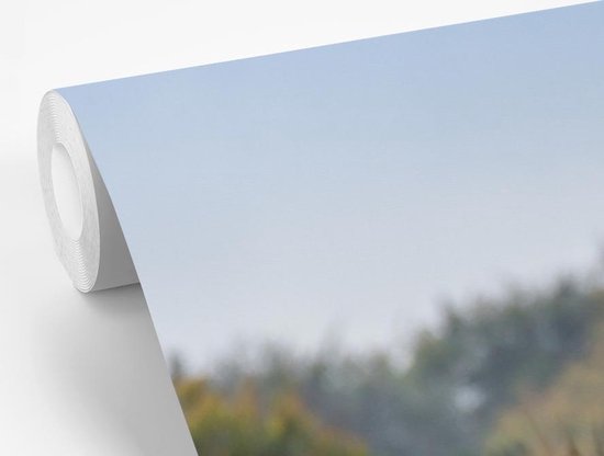 Papier peint photo peint vinyle - Cerf mâle dans la prairie largeur 330 cm x hauteur 220 cm - Tirage photo sur papier peint (disponible en 7 tailles)