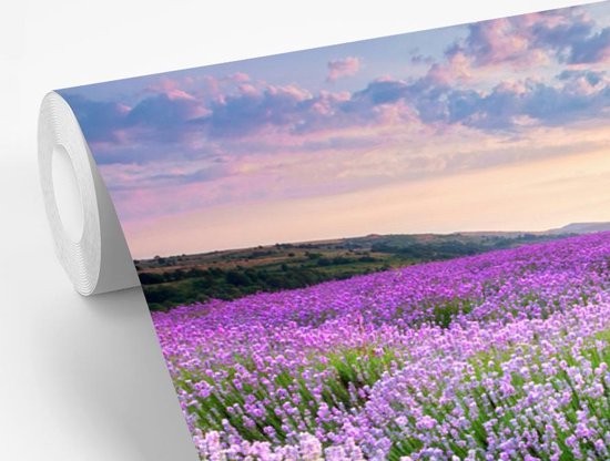 Papier peint - Papiers Papier peint photo - Mer de Fleurs Violette - Largeur 330 cm x Hauteur 220 cm