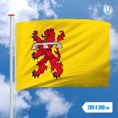 Vlag Teylingen 200x300cm