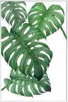 JUNIQE - Poster in kunststof lijst Tropical No.2 -40x60 /Groen & Wit