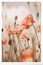 JUNIQE - Poster Sunkissed Flowers 1 -40x60 /Grijs & Oranje