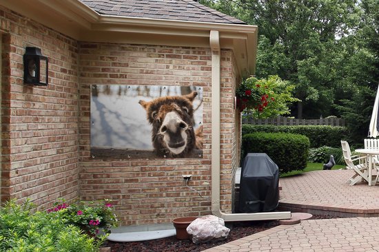 Curious chevalet affiche de jardin en vrac 120x80 cm - Toile de jardin / Toile d'extérieur / Peintures pour l'extérieur (décoration de jardin)