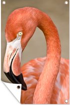 Muurdecoratie Een close-up van een flamingo in ruststand - 120x180 cm - Tuinposter - Tuindoek - Buitenposter