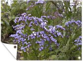 Tuin decoratie Paars gekleurde Limonium bloemen tussen groen struikgewas - 40x30 cm - Tuindoek - Buitenposter