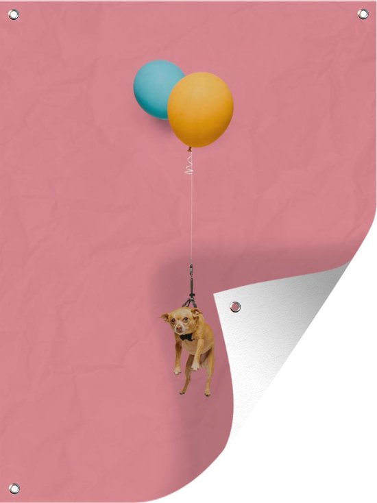 Décoration murale extérieure Chien comique sur deux ballons - 120x160 cm - Toile de jardin - Poster extérieur