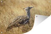 Muurdecoratie Koritrap in een veld - 180x120 cm - Tuinposter - Tuindoek - Buitenposter