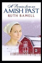 Amish Winter-A Promise from an Amish Past