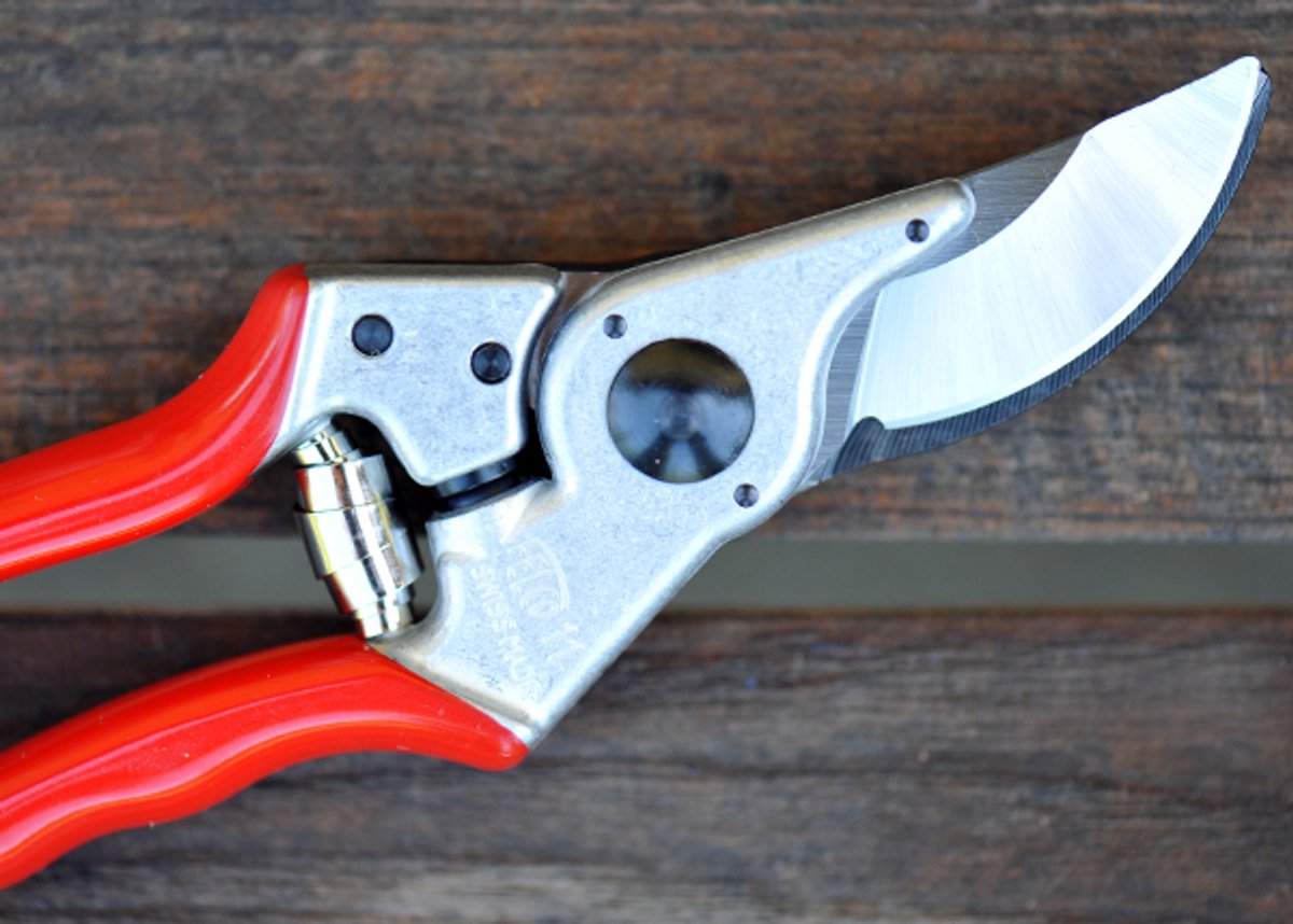 Felco 11 Sécateur - 25mm