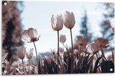 Tuinposter – Wit/Roze Bloemetjes in het Veld - 90x60cm Foto op Tuinposter  (wanddecoratie voor buiten en binnen)