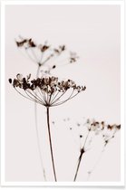 JUNIQE - Poster Dried Flowers Anetum 2A -20x30 /Bruin & Grijs